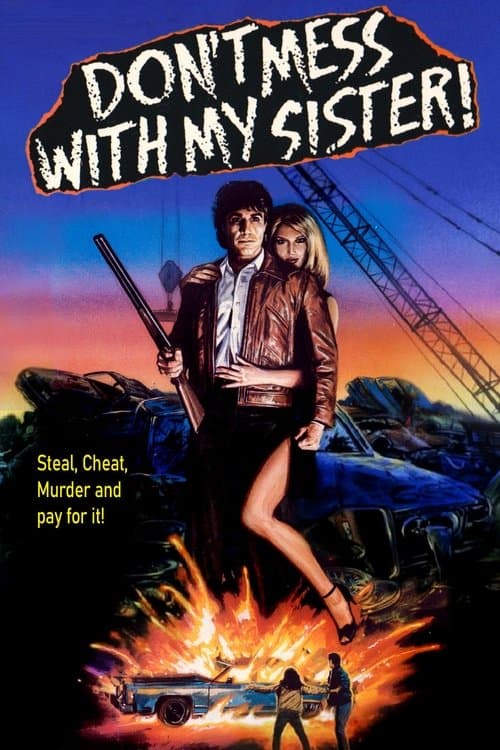 Don't Mess with My Sister!のポスター