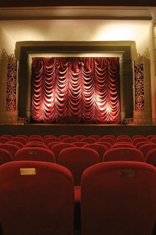 The Dream Palace: A People's History of Tyneside Cinemaのポスター
