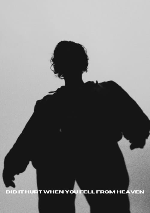 Did It Hurt When You Fell From Heavenのポスター