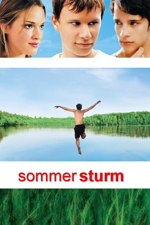 Sommersturmのポスター
