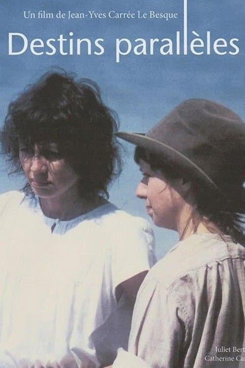 Destins parallèlesのポスター