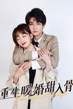 重生暖婚甜入骨のポスター