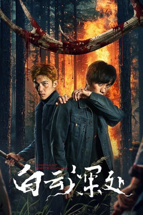 白云深处のポスター