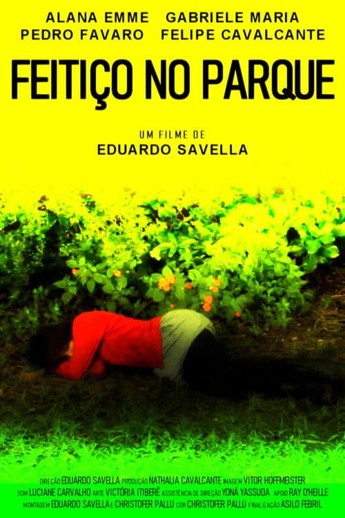 Feitiço no Parqueのポスター