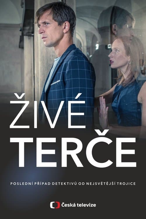 Živé terčeのポスター
