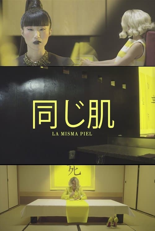 La misma pielのポスター
