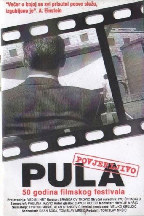 Pula povjerljivoのポスター