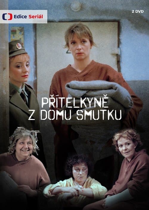 Přítelkyně z domu smutkuのポスター