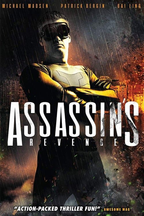 Assassins Revengeのポスター