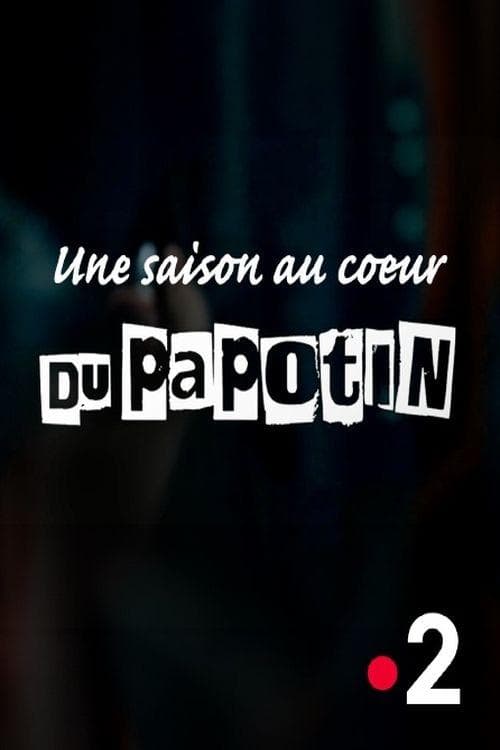 Au cœur du Papotinのポスター