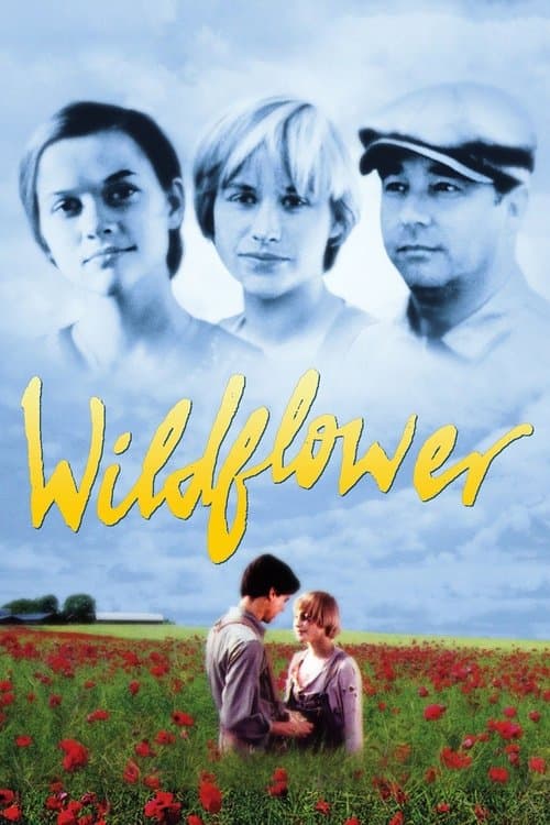 Wildflowerのポスター