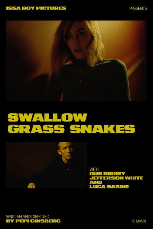 Swallow Grass Snakesのポスター