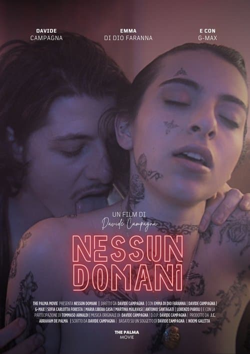 Nessun domaniのポスター