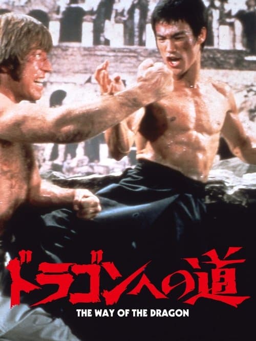 ドラゴンへの道のポスター