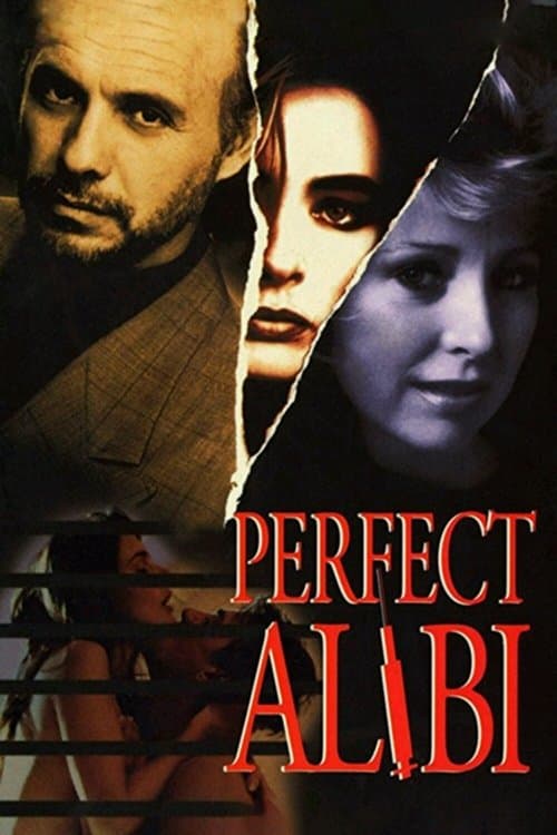 Perfect Alibiのポスター