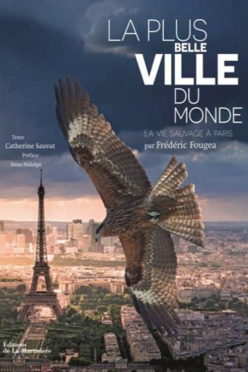 La Plus Belle Ville du mondeのポスター
