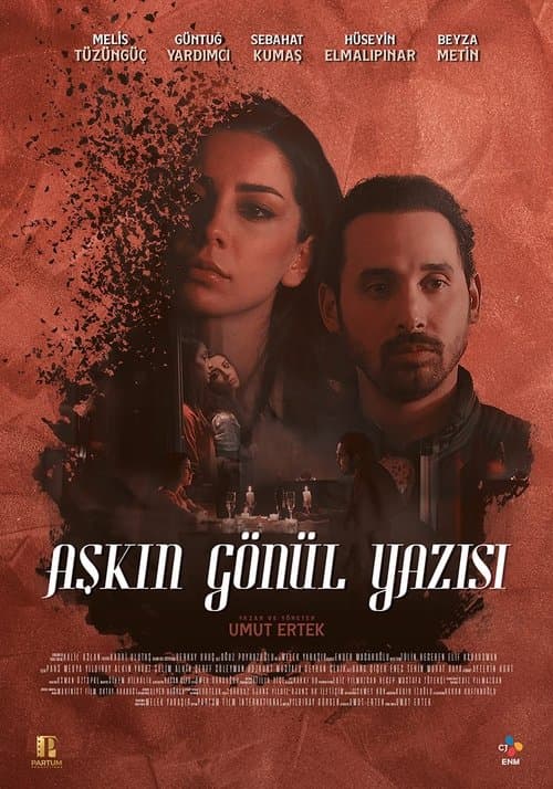 Aşkın Gönül Yazısıのポスター
