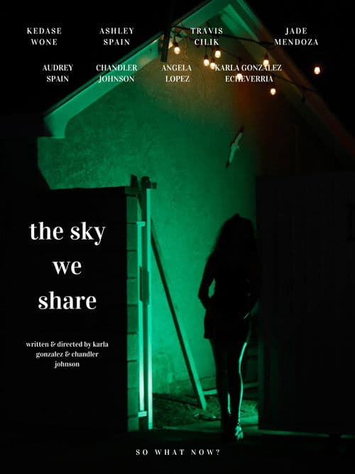 The Sky We Shareのポスター