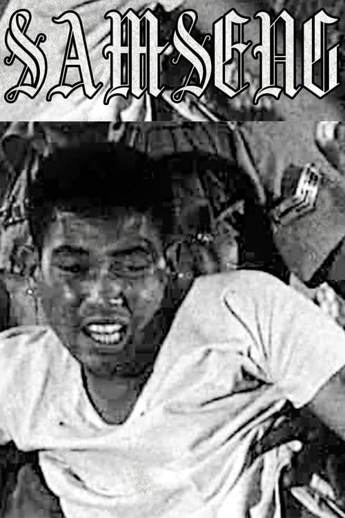 Samsengのポスター