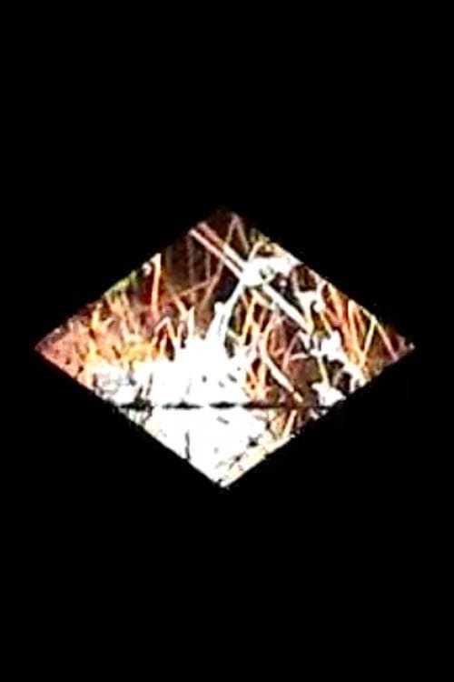 Diamondbackのポスター