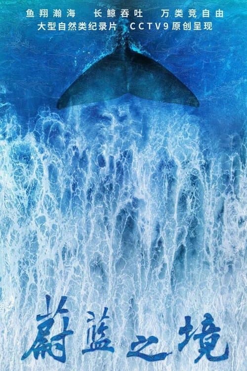 蔚蓝之境のポスター