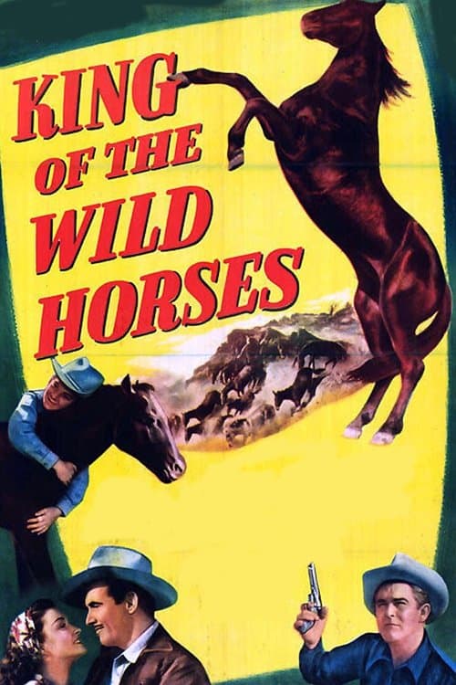 King of the Wild Horsesのポスター