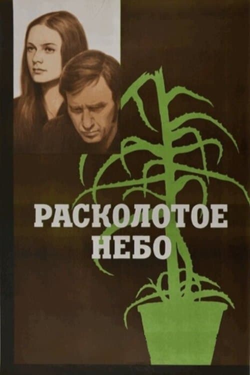 Perskeltas dangusのポスター