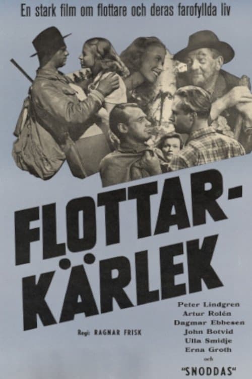 Flottare med färgのポスター
