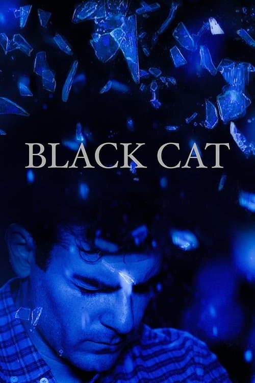 Black Catのポスター