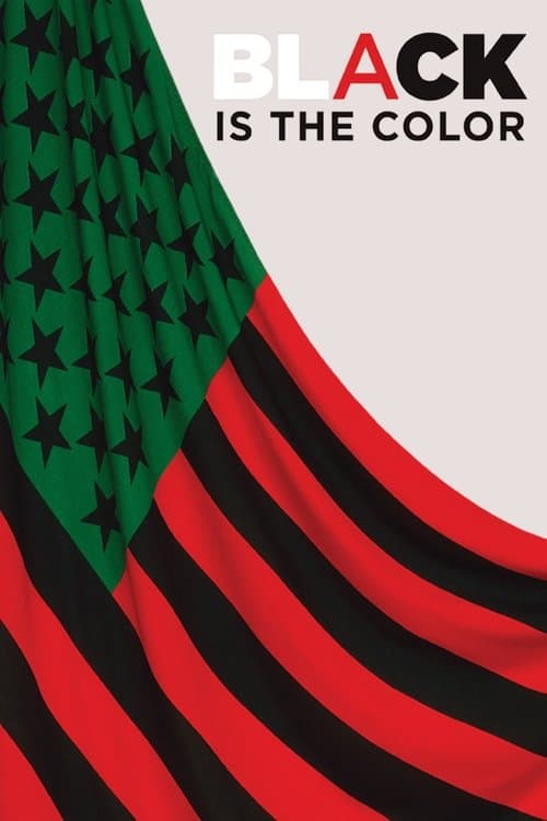 Black Is the Color: African-American Artists and Segregationのポスター