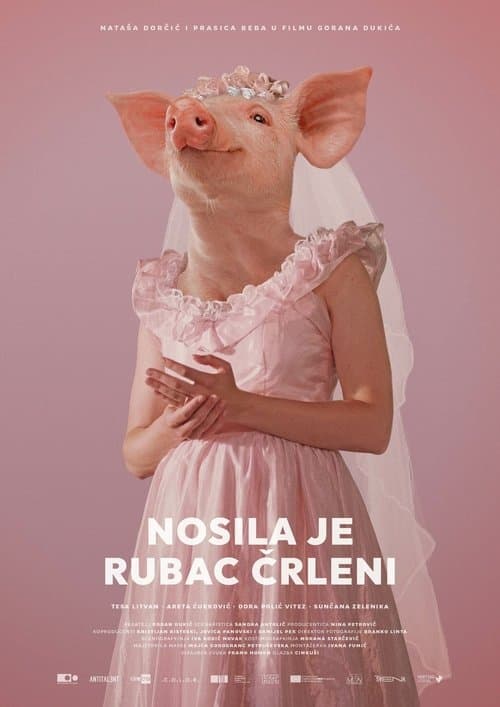 Nosila je rubac črleniのポスター