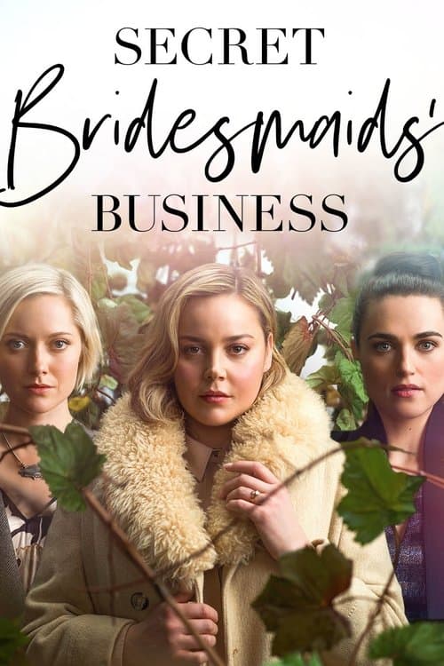 Secret Bridesmaids' Businessのポスター