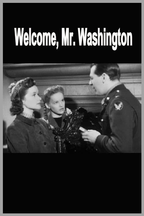 Welcome, Mr Washingtonのポスター