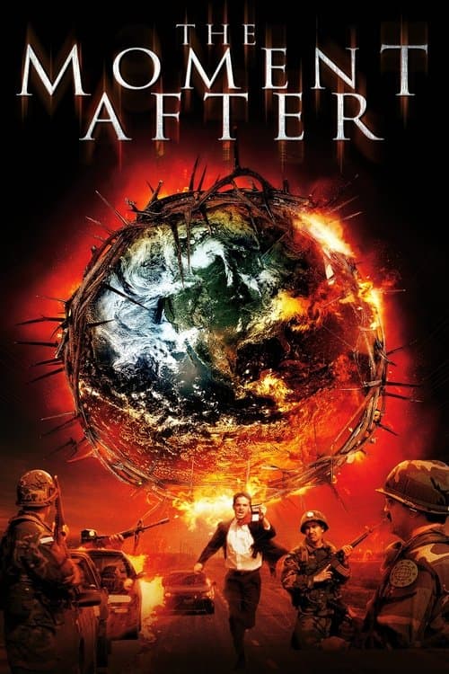 The Moment Afterのポスター