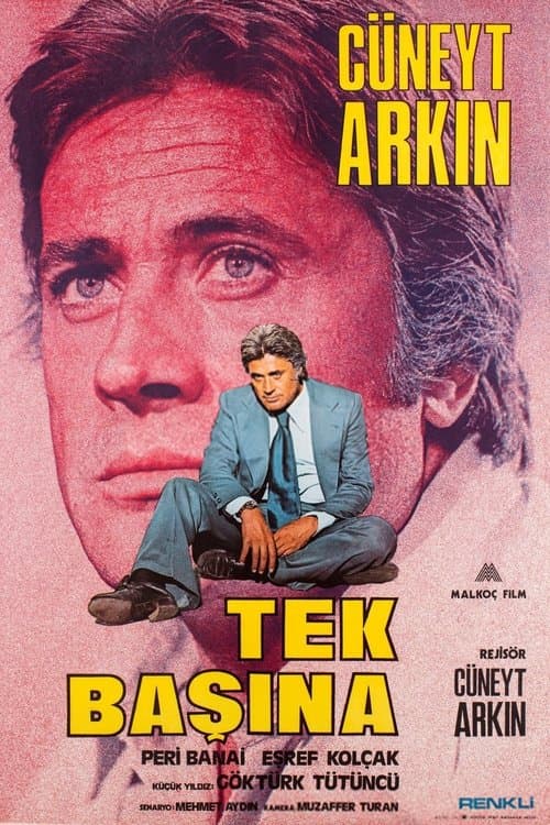 Tek Başınaのポスター