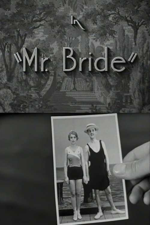 Mr. Brideのポスター
