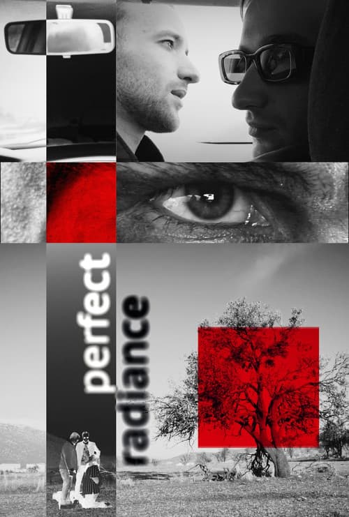 Perfect Radianceのポスター