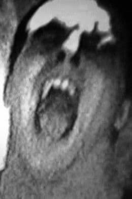 Dont Shoutのポスター