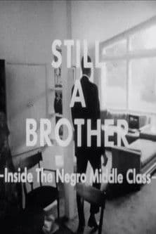 Still A Brother: Inside the Negro Middle Classのポスター