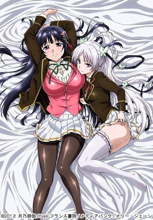 お嬢様☆嫁入り抗争!のポスター