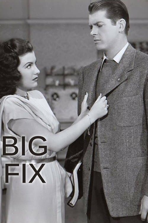 The Big Fixのポスター