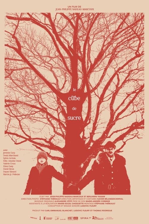 Le Cube de Sucreのポスター