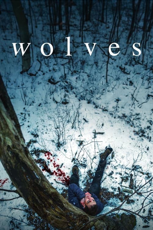Wolvesのポスター