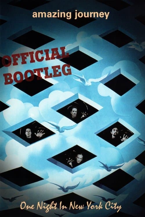 Amazing Journey: One Night in New York Cityのポスター