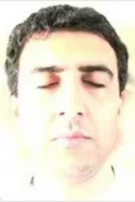 ... and then I became a vegetableのポスター