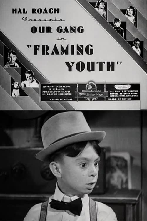 Framing Youthのポスター