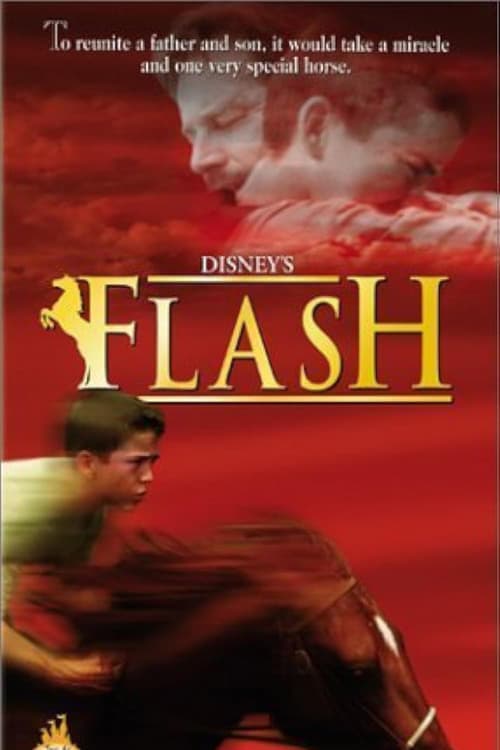 Flashのポスター