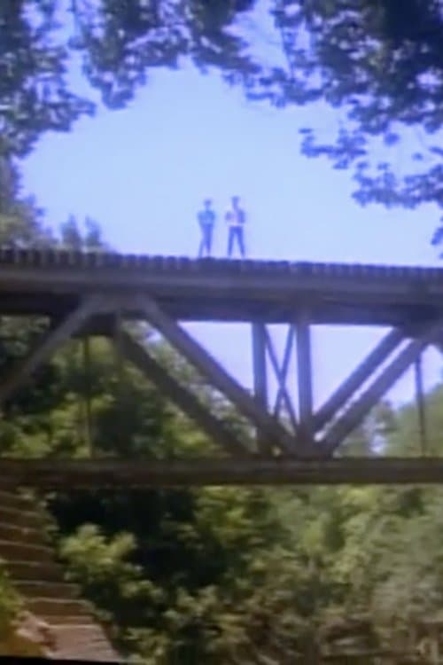 Has Anybody Seen Phil?のポスター