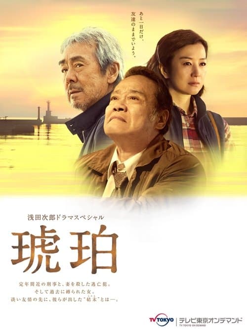 琥珀のポスター