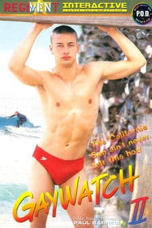 Gaywatch 2のポスター